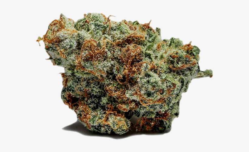 Sativa Indica - Cactus, transparent png download