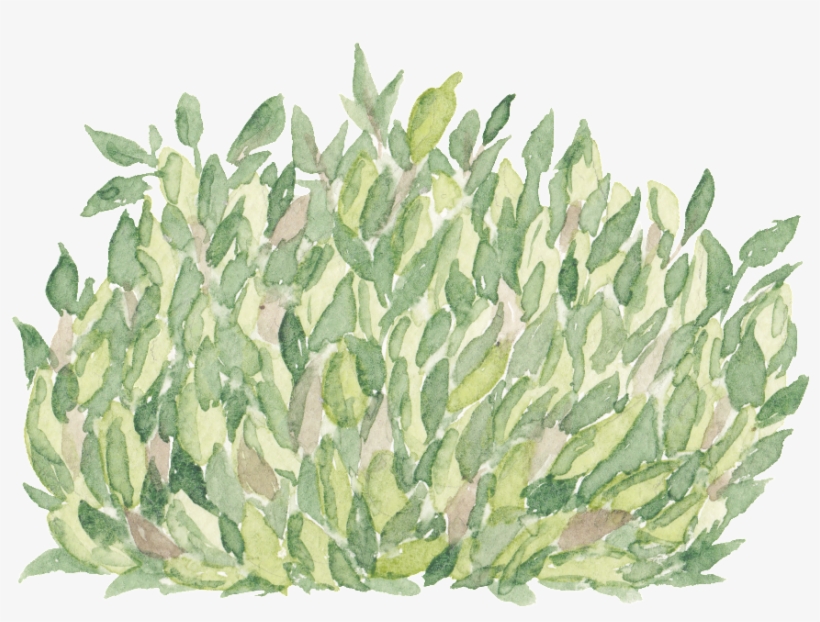 Green Hand Painted Grass Transparent Cartoon Decoration - Cartoon, transparent png download