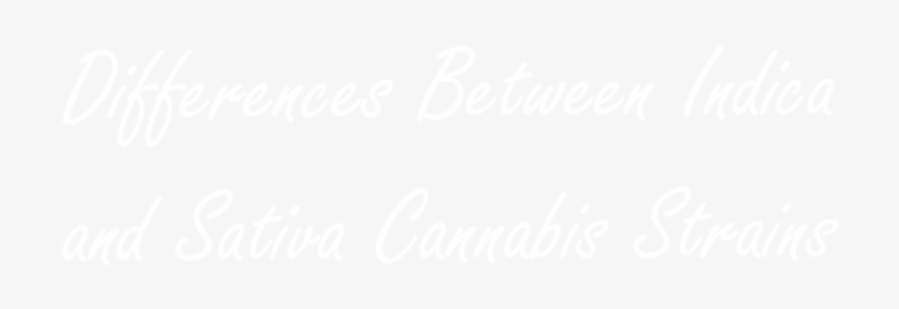 Differences Between Indica And Sativa Cannabis Strains - Twitter White Icon Png, transparent png download