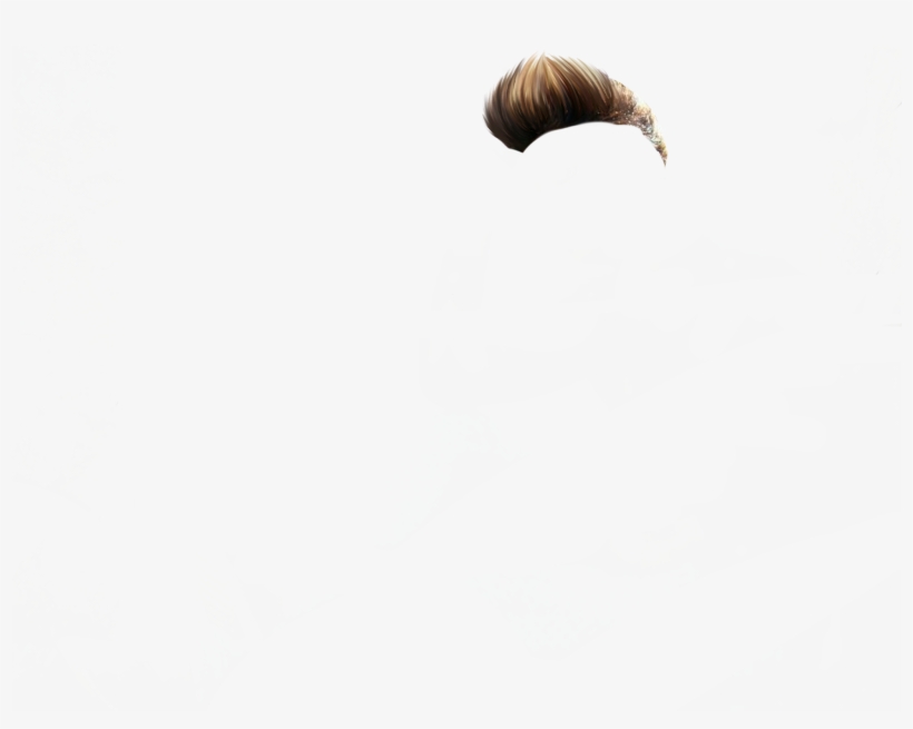 Hair Png - Echidna, transparent png download