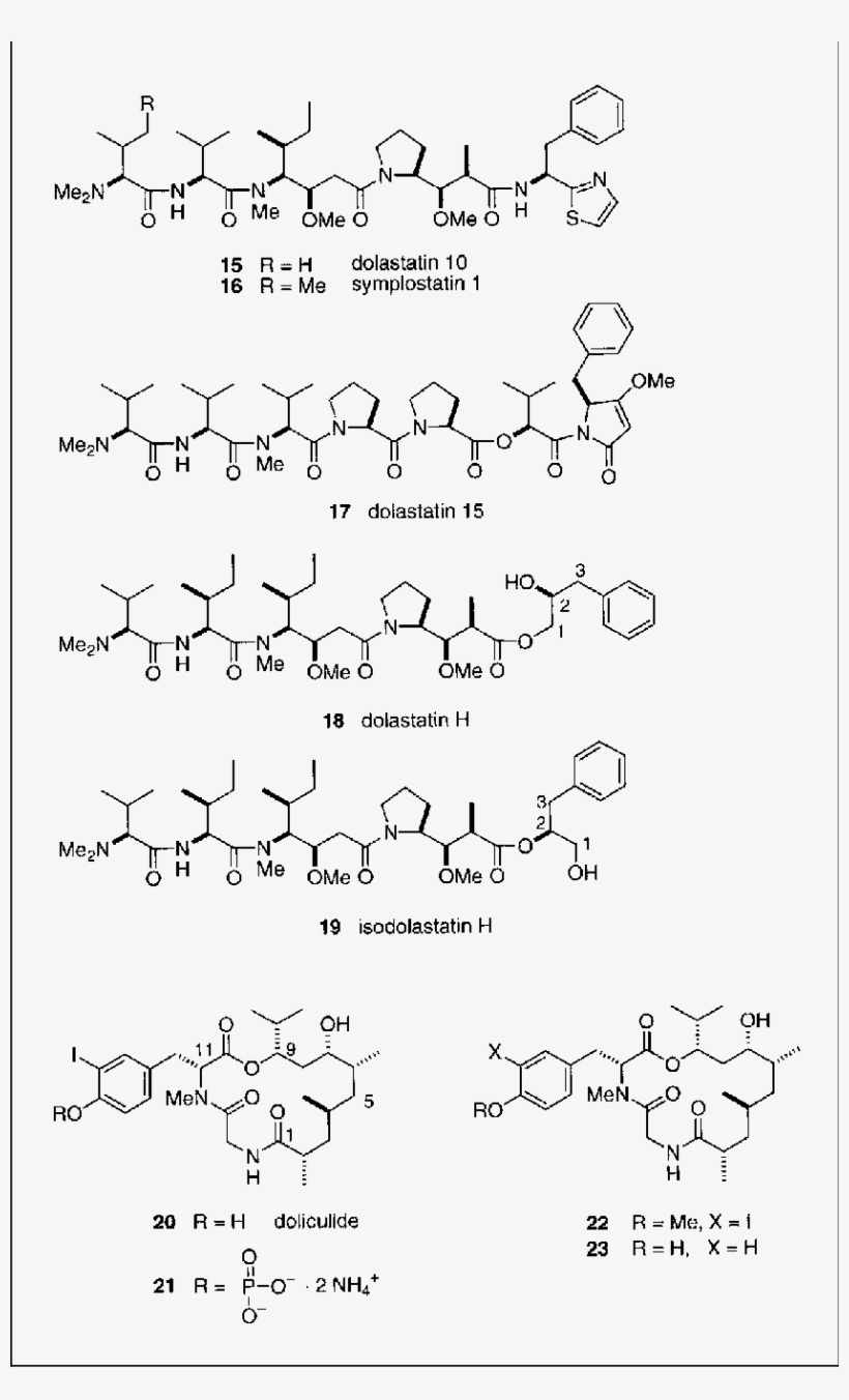 Structures Of Dolastatins , Doliculide (20) And Its - Document, transparent png download
