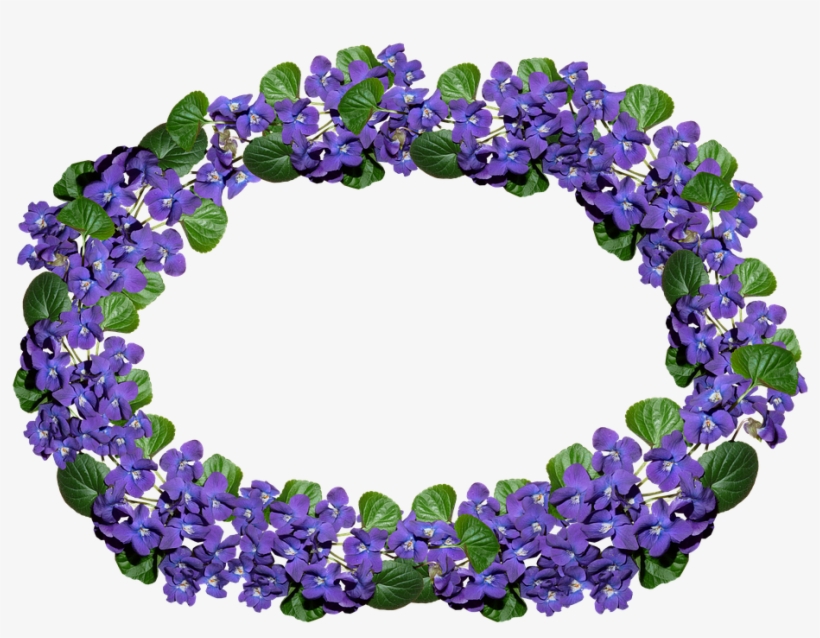 Flowers, Violets, Arrangement, Frame, Border, Perfume - Arrangement, transparent png download