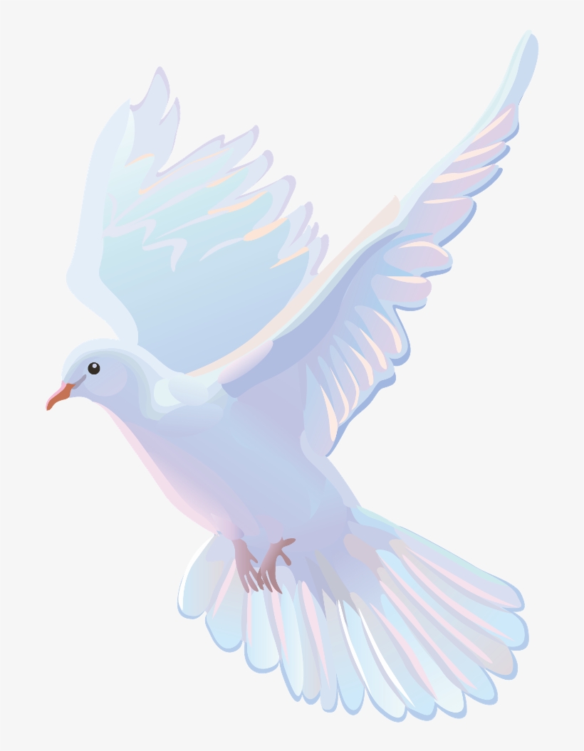 Vector - - Pigeons And Doves, transparent png download