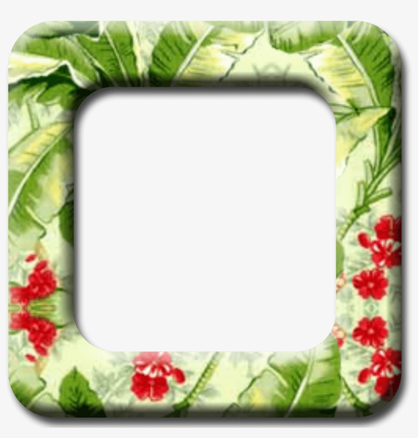 Tropical - Tropical Frame Transparent Png, transparent png download