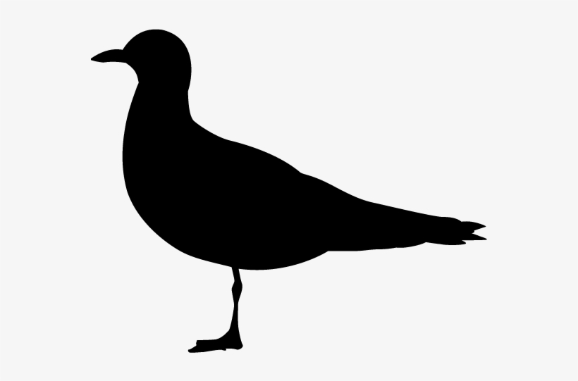 View All Images-1 - Silhouette, transparent png download