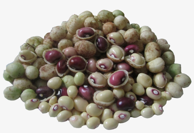 Effect Of Sowing Year And Seedbed Type On Yield And - Water Stress On Physiological And Biochemical Parameters, transparent png download