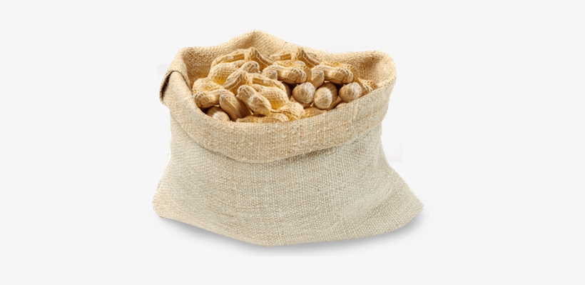 Peanuts - Peanuts Grocery Signs (3-track Fresh Look, transparent png download