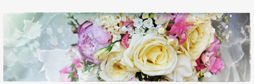 The Design Process - Garden Roses, transparent png download