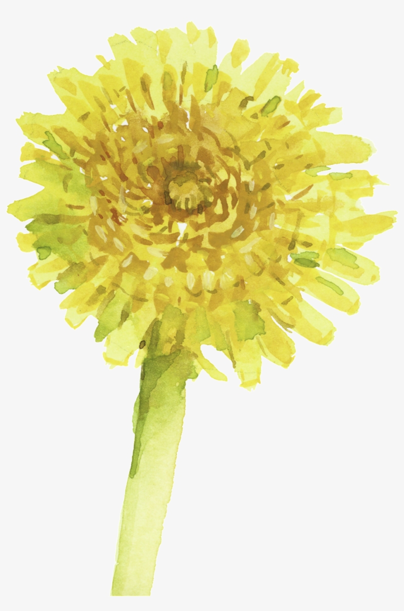 Transparent Material For Oil And Flower - Oil Painting, transparent png download