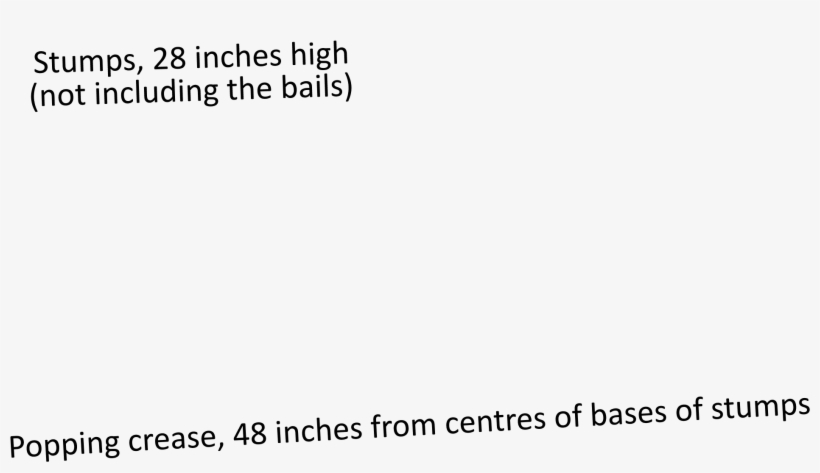 Cricket In The Shadows - Parallel, transparent png download