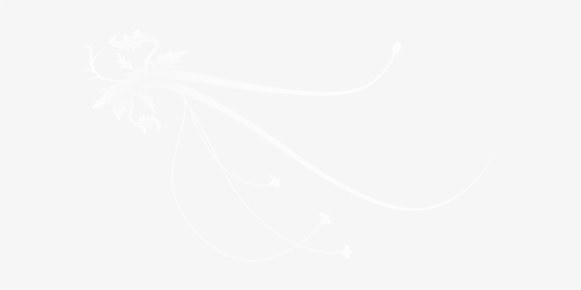 0, - Nba Finals Logo White, transparent png download