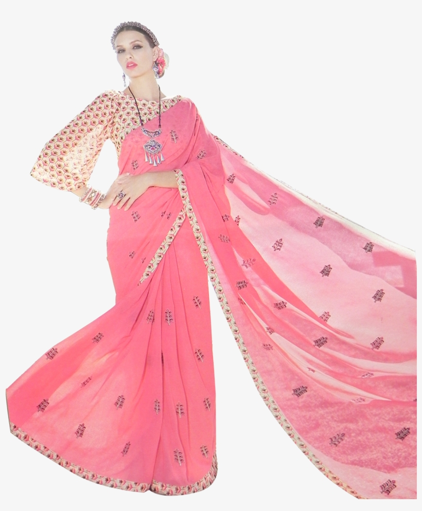 Sari, transparent png download