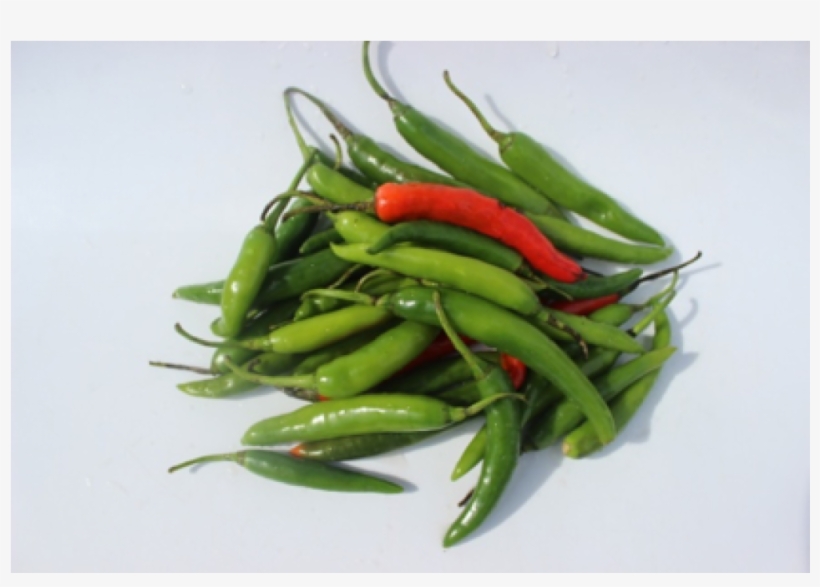 Chilli - Bird's Eye Chili, transparent png download