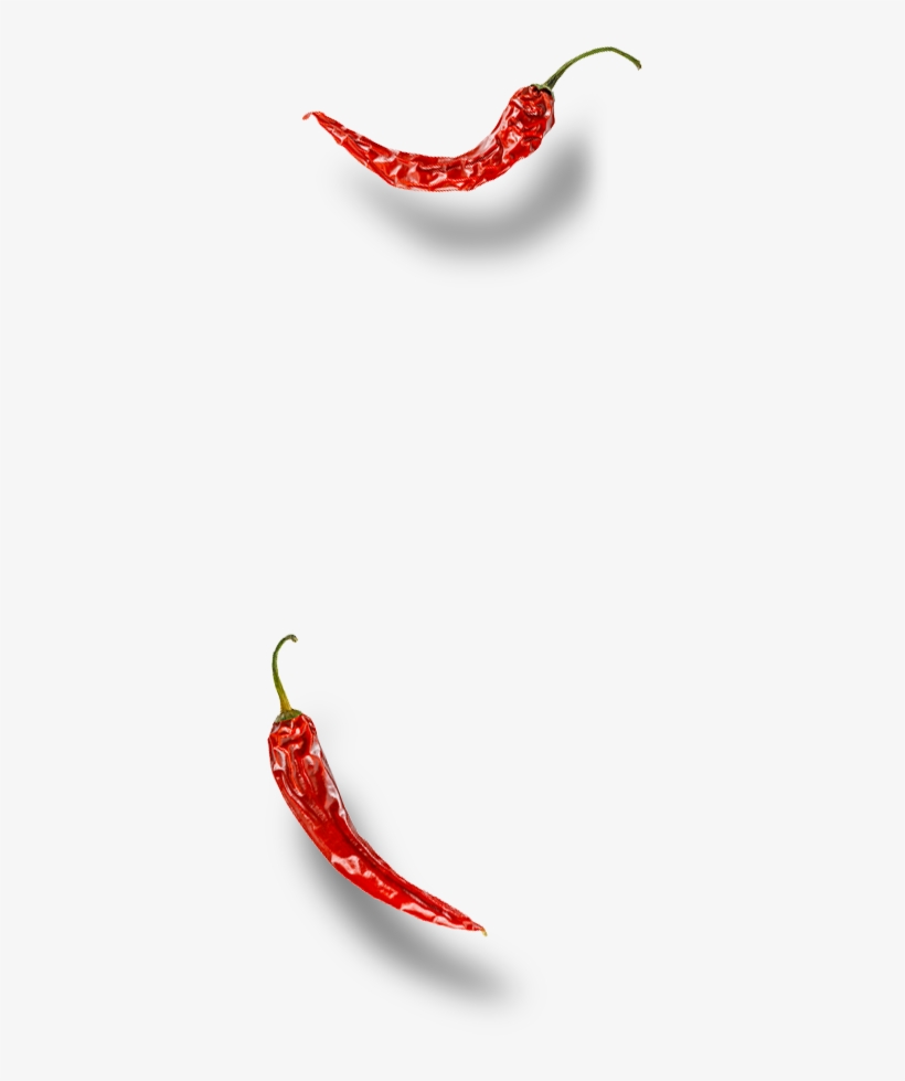 Illustration, transparent png download