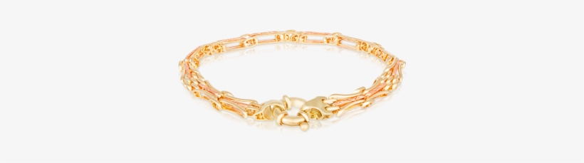 Euro Gate Bracelet Made In 9ct Yellow And Rose Gold - Aparador De Aliança Amor, transparent png download