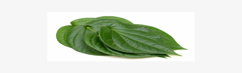 Betel - Spinach, transparent png download