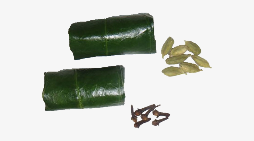 Suman, transparent png download