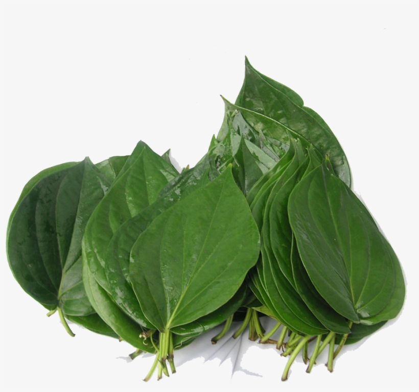Bitterleaf - Bitter Leaf, transparent png download
