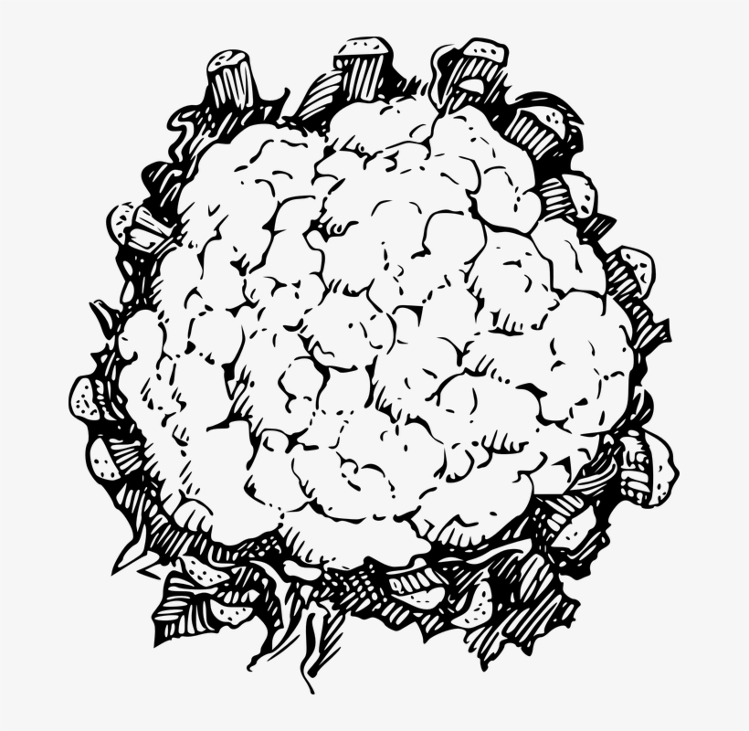 Cauliflower - Cauliflower Clipart Black And White, transparent png download