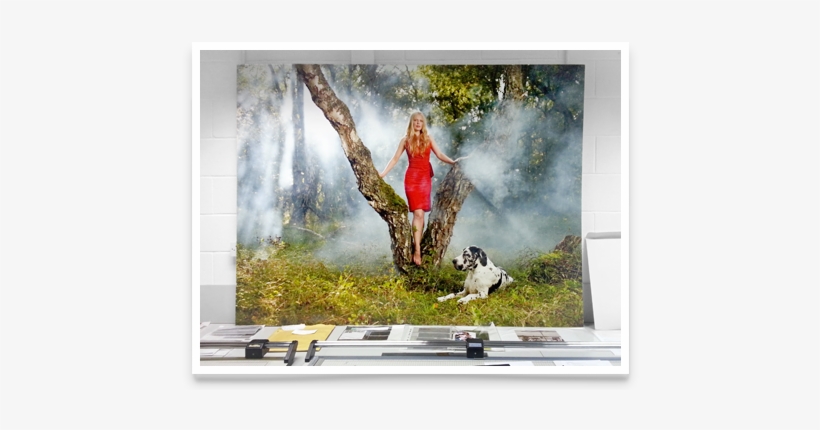 Phase One P65+, transparent png download