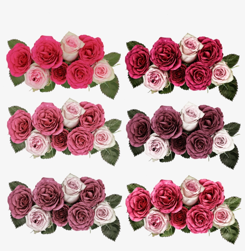 Roses,flowers,rose - Png Jardim De Flores, transparent png download