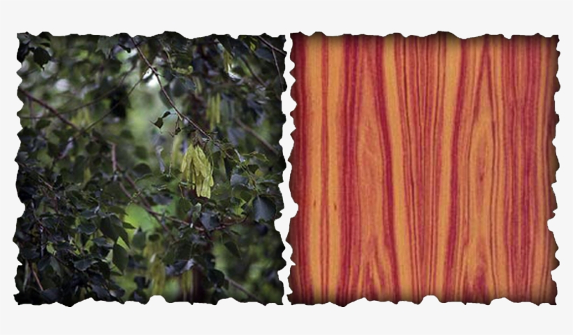 Peace And Calmness, But Also Powerful And Proud - Picture Frame, transparent png download