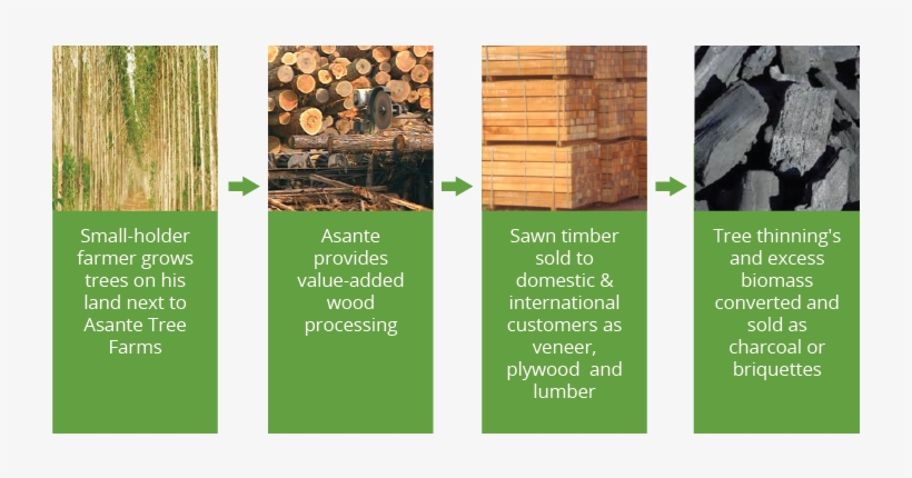 Sawn Timber Value - Lumber, transparent png download