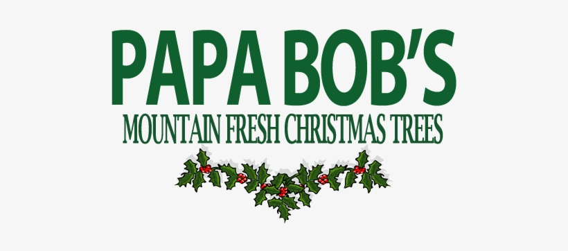 Grandma - Grandpa / Christmas Greetings - Green Holly, transparent png download