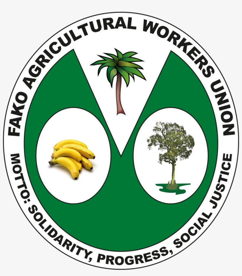 Fawu Organises Plantation Workers In The South West - Letting Go Of Your Bananas: How To Become More Successful, transparent png download