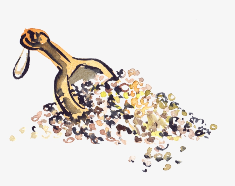 Add Vegan Protein Or Hemb Seeds, transparent png download