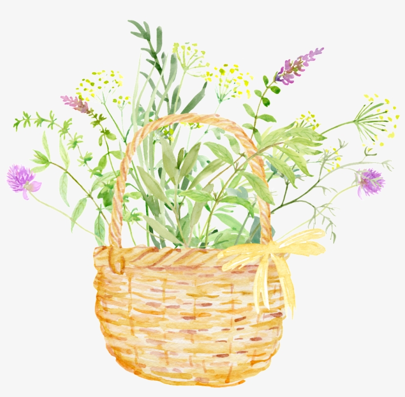 Bamboo Basket Flower Cartoon Transparent - Green, transparent png download