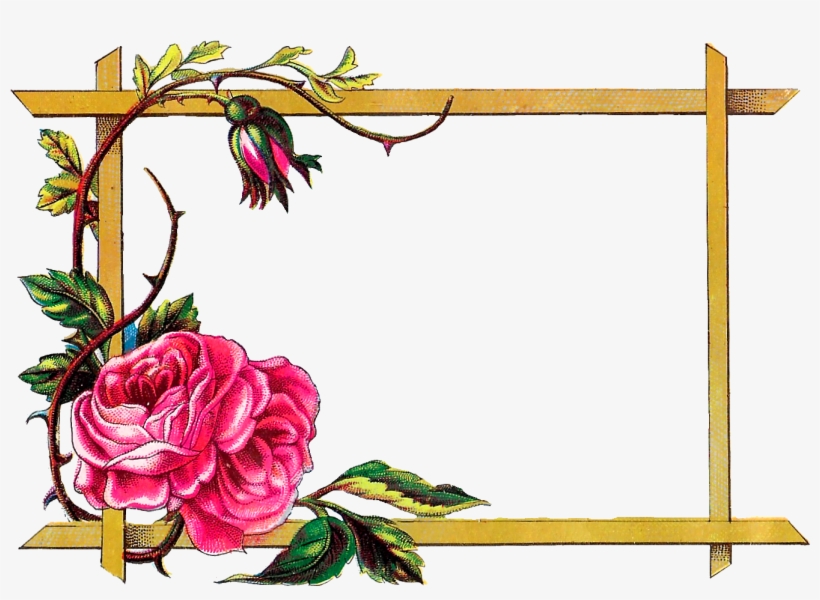 Flower Frame Design Png » Path Decorations Pictures, transparent png download