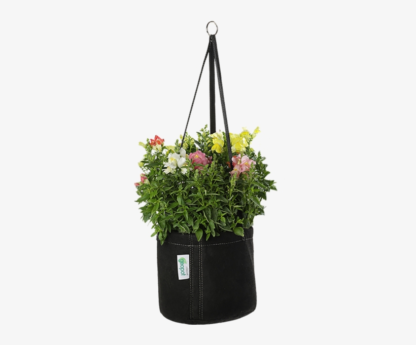 Flowerpot, transparent png download