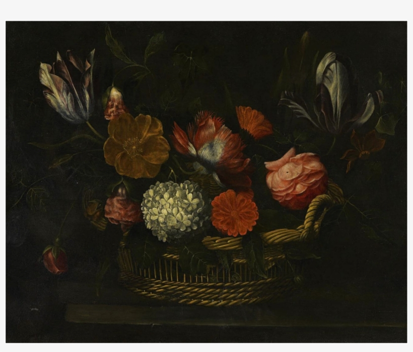 Frans Van Everbroeck - Still Life Photography, transparent png download
