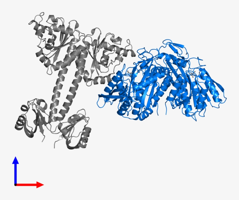 <div Class='caption-body'>pdb Entry 4lry Contains 2 - Illustration, transparent png download