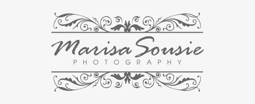 Logo Design By Dvynaart For This Project - Chapter V, transparent png download