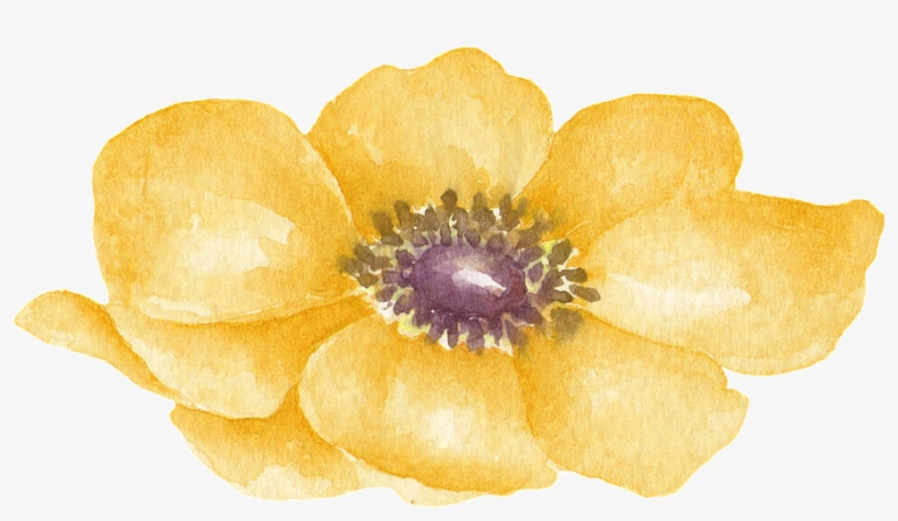Yellow Floral Transparent Decorative - Watercolor Lilac Png, transparent png download
