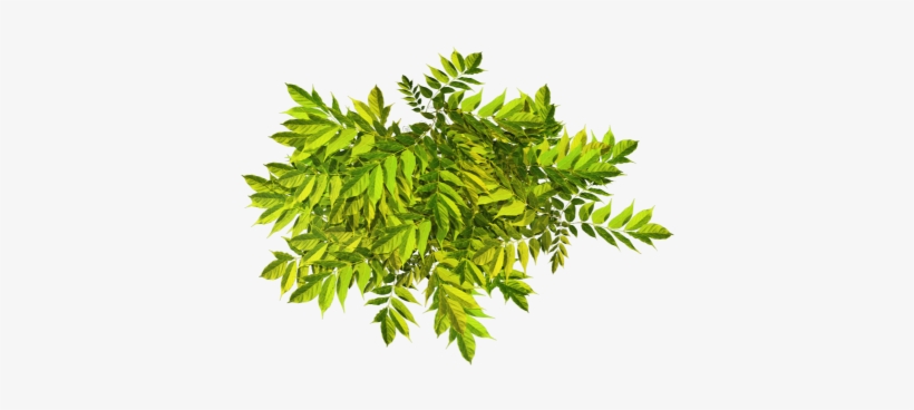 More Information - Portable Network Graphics, transparent png download