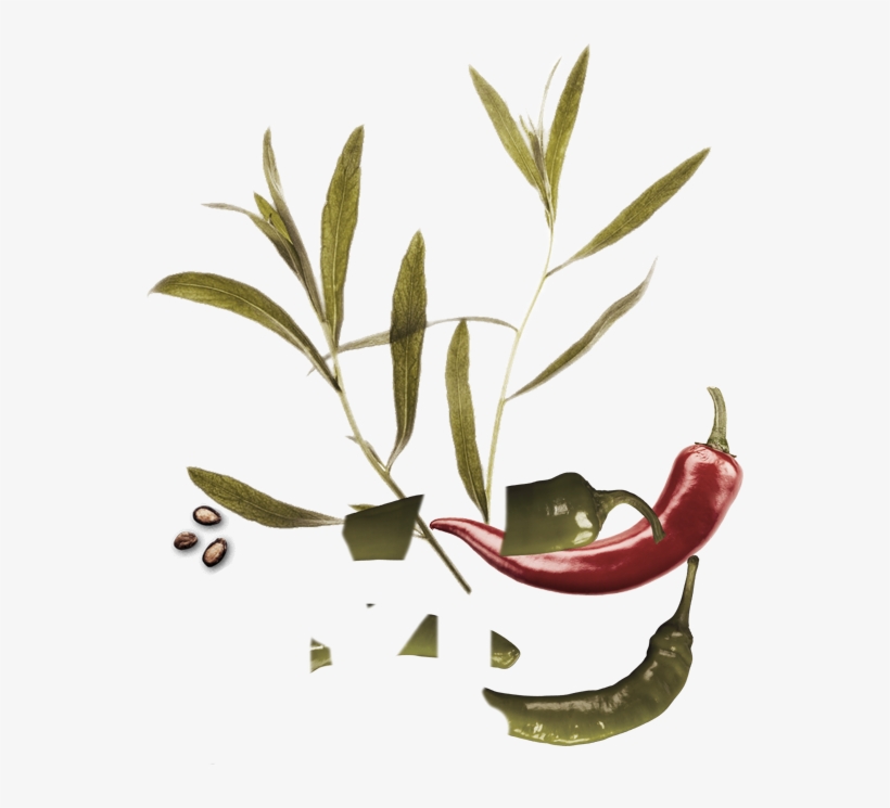 Sementes - Estragão, transparent png download