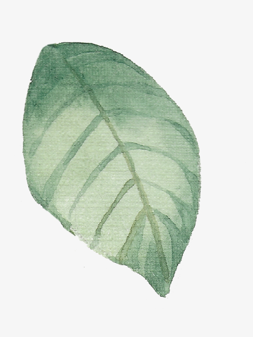 Leaf-4 1 - Watercolor Painting, transparent png download
