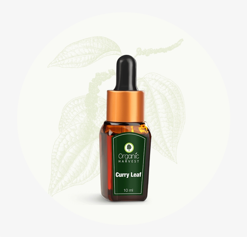 Curry Leaf Essential Oil - Organic Harvest Narcissus Essential Oil, transparent png download