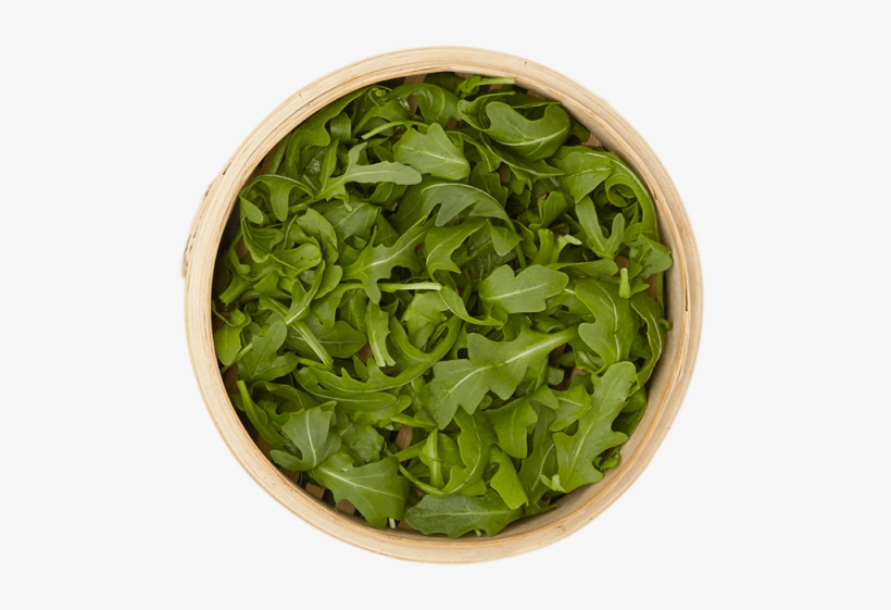 4 Ounce - Flowerpot, transparent png download