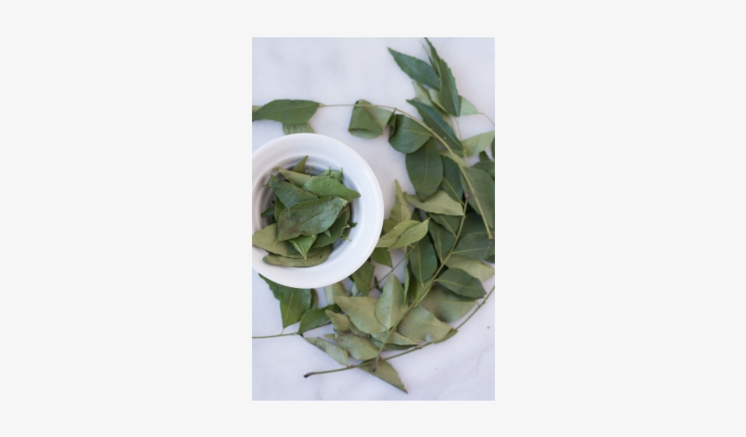 Dried Curry Leaf - Curry Tree, transparent png download