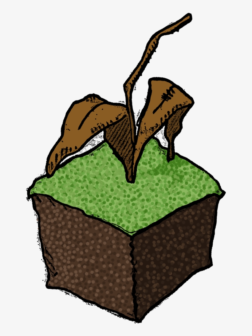Grass Clipart Shrub - Drawing, transparent png download