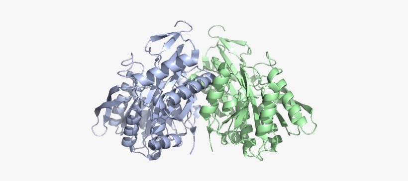 Earrings, transparent png download