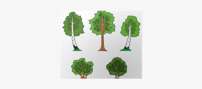 Trees And Bushes In The Forest, Vector Illustration - Деревья Мультяшные, transparent png download