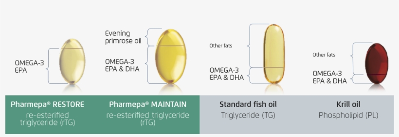 Rtg Is The Most Potent, Concentrated & Fast Acting - Omega-3 Fatty Acid, transparent png download