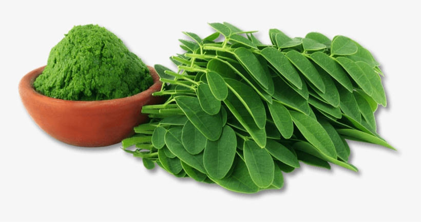 29 Dec Moringa Leaf Powder Multivitamin Shot - Addicted 2 Healthy Nutritional Superfoods 30 Moringa, transparent png download