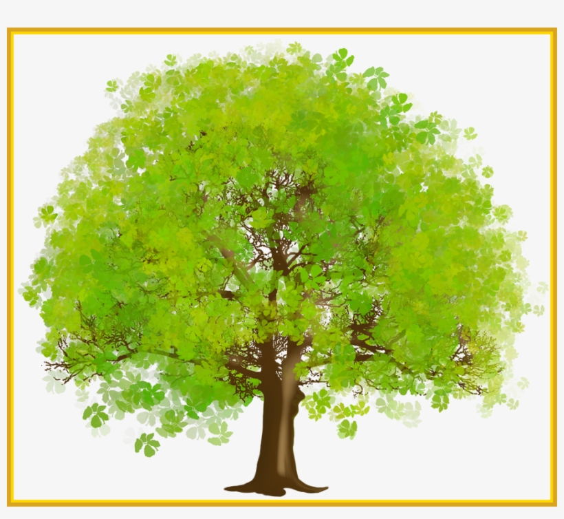 Inspiring Green Tree Png - Tree Clipart, transparent png download