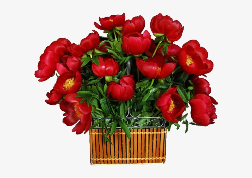 Flower Boquet - Rose, transparent png download